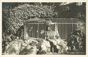 La Loba Capitolina